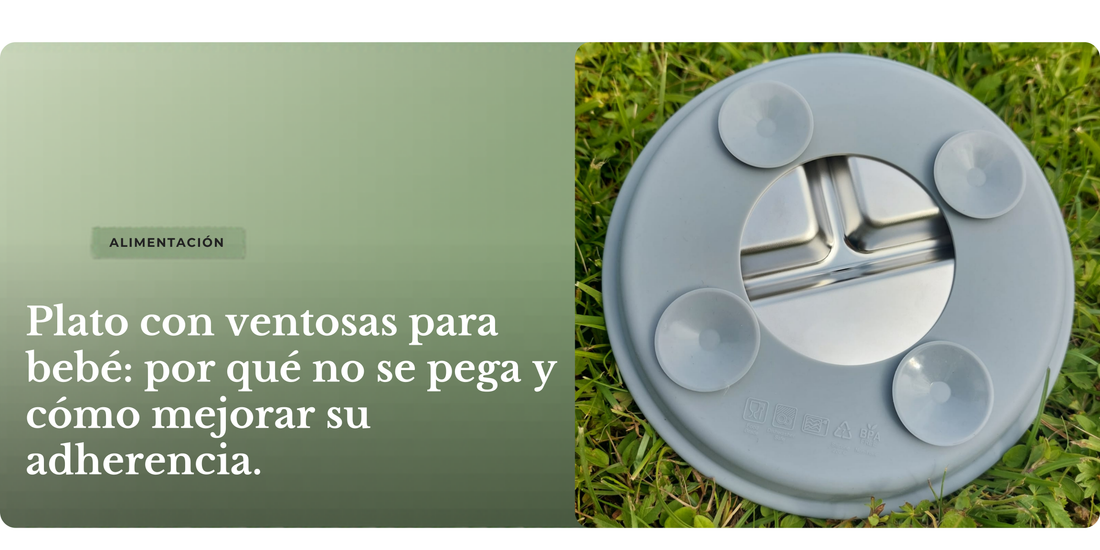 Plato para bebé de acero inoxidable y base de silicona con cuatro ventosas