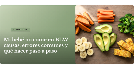 Mi bebé no come en BLW causas, errores comunes y qué hacer paso a paso