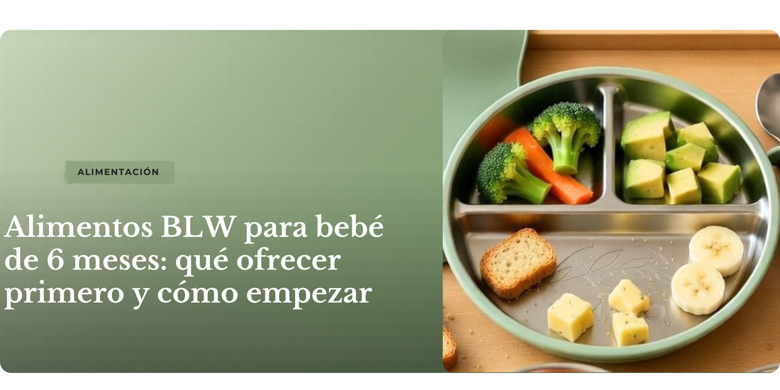 Primeros alimentos que ofrecer a un bebé de 6 meses siguiendo método BLW 