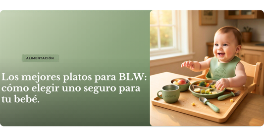Vajilla BLW para bebé de acero inoxidable y silicona de grado alimentario con ventosa